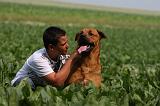 ENFANT ET CHIEN 393